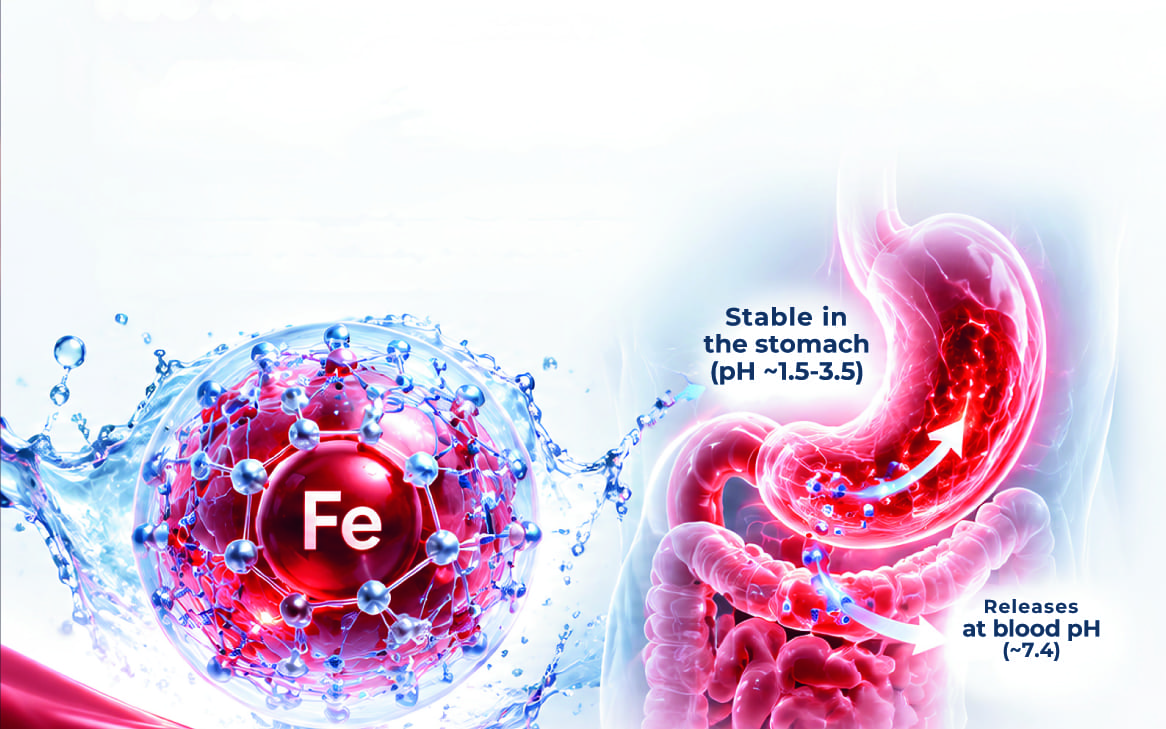 Illustration of an iron ion chelated inside a blue biopolymer nano-complex sphere, from the Q-Erythra sales sheet