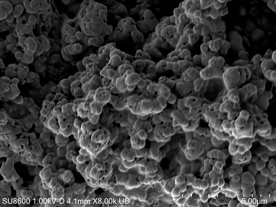 Q-RESVERA™ Trans-Resveratrol: supplied PQNS SEM figure
