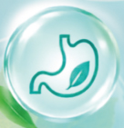 Mucosal support icon — stomach with leaf