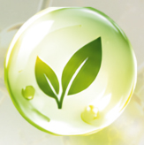 Metabolic support icon — leaf