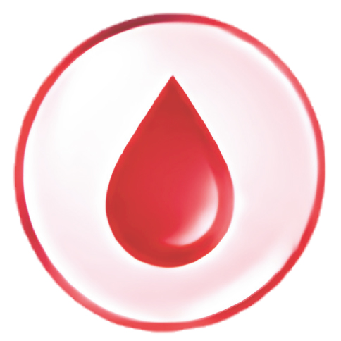 Lipid metabolism icon — blood drop