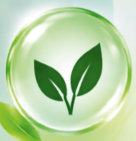 Aromatic constituents icon — leaf