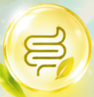 Digestive comfort icon — intestine