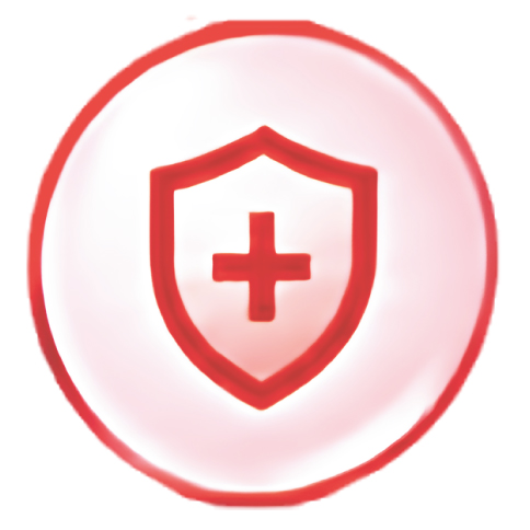 Antioxidant support icon — shield with cross