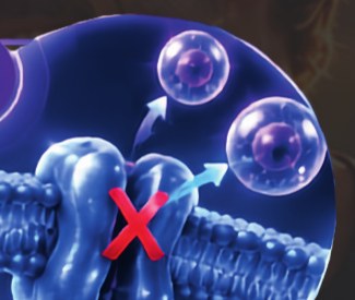 Illustration of nanoparticles evading a cell-membrane efflux pump, from the Q-Oxivia sales sheet