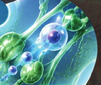 Illustration of nanoparticles channeled through green lymphatic vessels, from the Q-Oxivia sales sheet